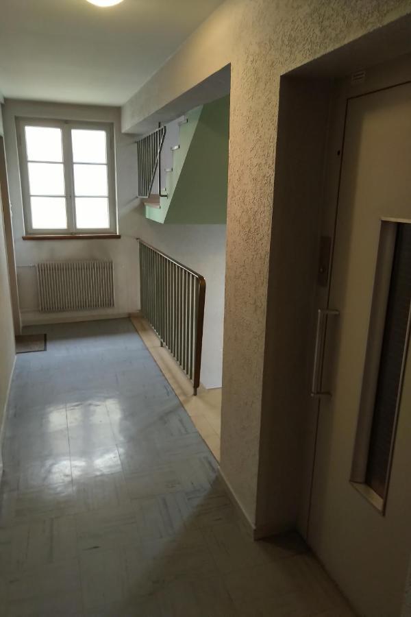 Appartement Spacieux Et Cosy - Strasbourg Centre Εξωτερικό φωτογραφία